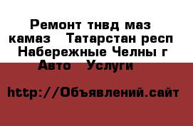 Ремонт тнвд маз, камаз - Татарстан респ., Набережные Челны г. Авто » Услуги   